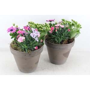 arr4 Outdoor MB - Ker. bloempot choco