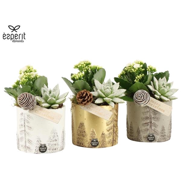 <h4>Arrangementen Kerst 6%</h4>