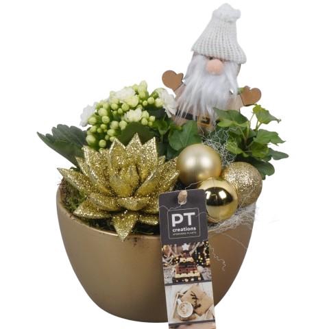 <h4>PTCHG5602 Arrangementen Kerst</h4>
