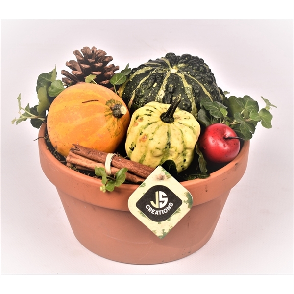 <h4>Arrangementen Sierfruit</h4>