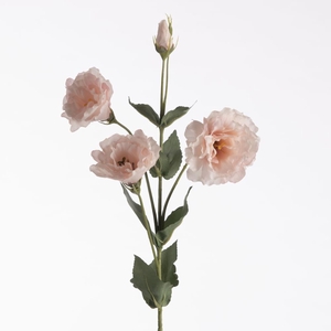 AF Lisianthus x4 L68cm L.Pink