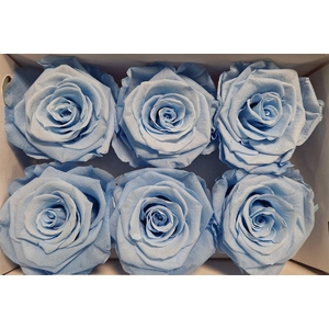 Ro Pres Classic Blue Light