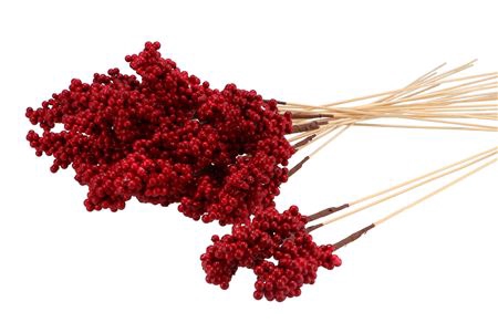 <h4>Pick Red Current 10x6cm+50cm Stick P/25 Nm</h4>