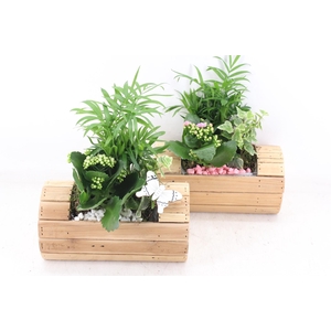 Arr2 Pl - Hout Cilin. Liggend X6 - Roze/wit