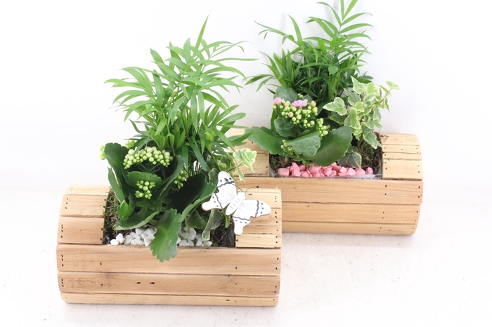 Arr2 Pl - Hout Cilin. Liggend X6 - Roze/wit