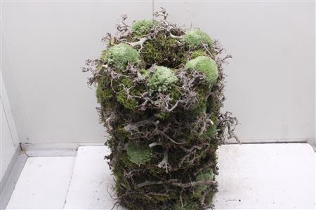 <h4>Krans Bonzai Bol Mos 35cm</h4>
