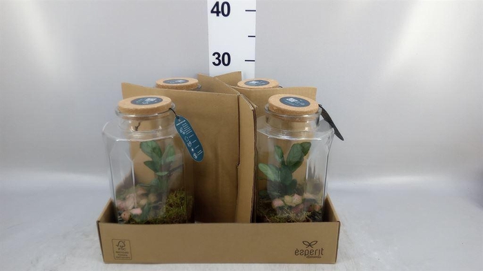 Arr.   Planten L%