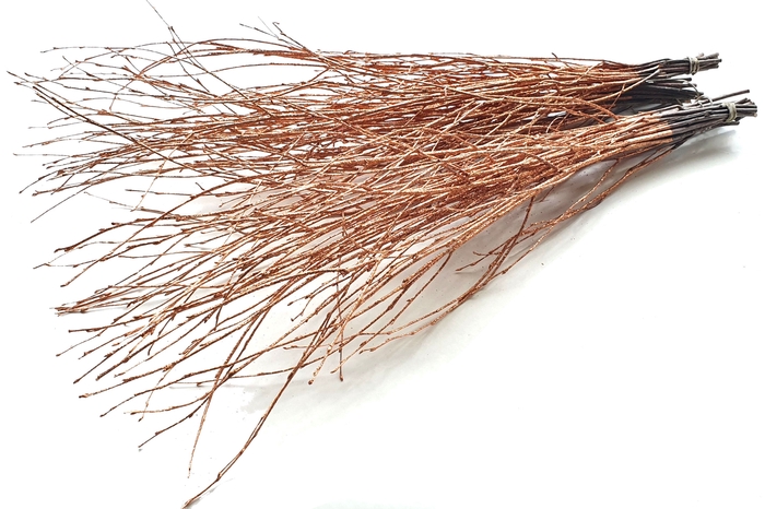 Birch 70cm 10stems per bunch Copper + Glitter