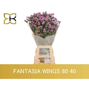 LIM S FANTASIA WINGS