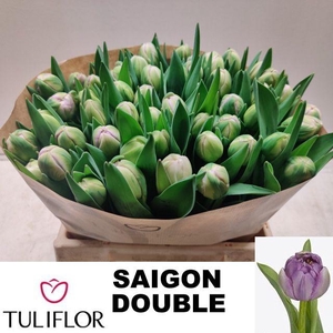 TU DU SAIGON DOUBLE