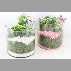 arr2 PL - Glas cilinder 15x15 - roze/wit