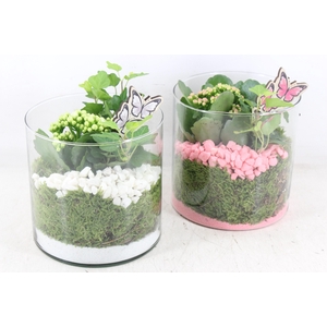 Arr2 Pl - Glas Cilinder 15x15 - Roze/wit