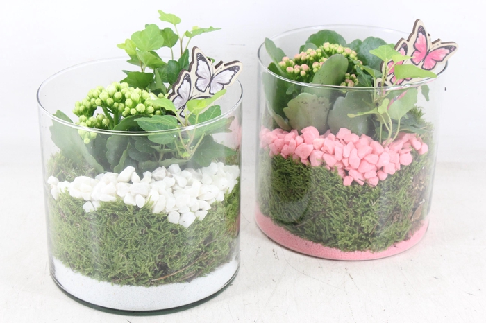 Arr2 Pl - Glas Cilinder 15x15 - Roze/wit