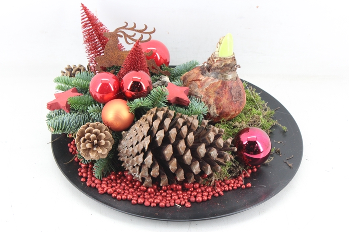 <h4>arr5 Kerst MB - Black plate hipp. red</h4>