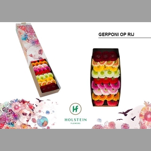 GE MB GERPONI R GEM