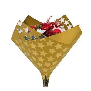 35x35cm OPP40/MOPP40 Oblique Clear Stars gold 250/box