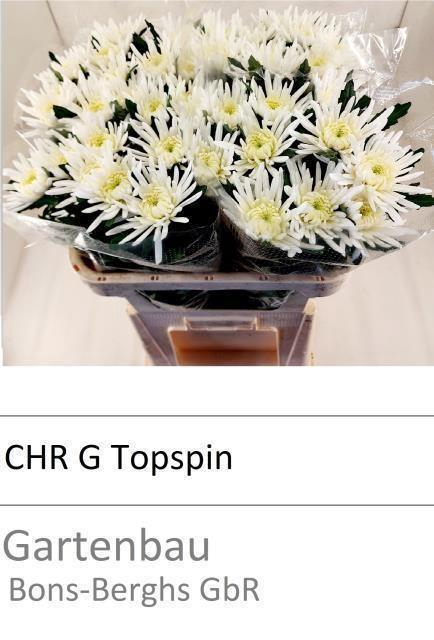 <h4>CHR G TOPSPIN</h4>