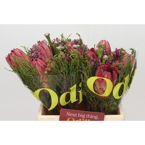 BQ Hybrid 5 Flower