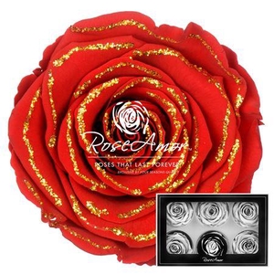 Lplus Glitter Gold Red02