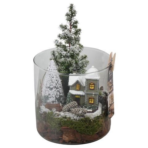 <h4>Opm Pt PTCWW6814 Winter Glas Vaas</h4>