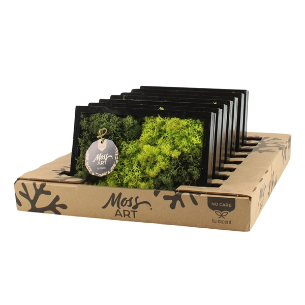 <h4>90648: Moss Art arrangement D24</h4>