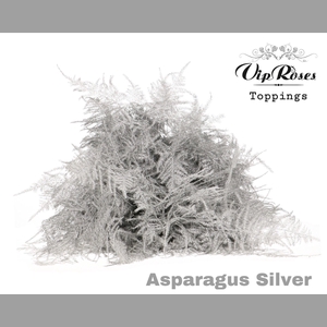 ASP OV EXTRA VEREN SILVER