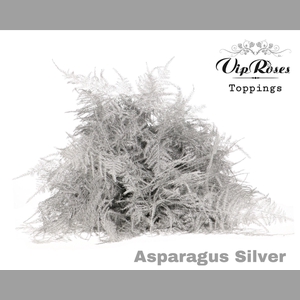 ASP OV EXTRA VEREN SILVER