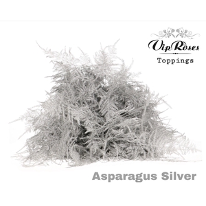 ASP OV EXTRA VEREN SILVER