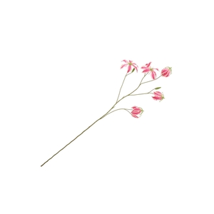 Silk Gloriosa Dark Pink 105cm