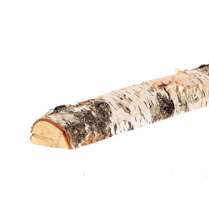 Branch Birch half  6 tot 8 Cm L200