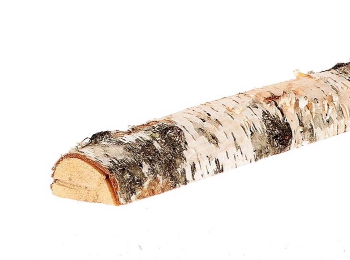 <h4>Branch Birch half  6 tot 8 Cm L200</h4>