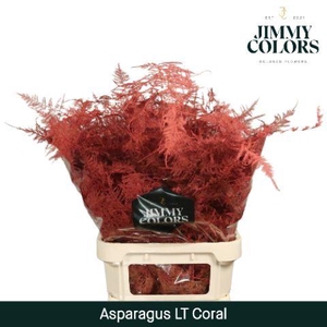 Asp lang getopt Coral