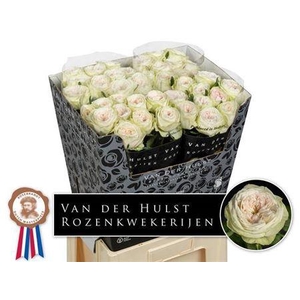 R Gr Bal D Summerhou