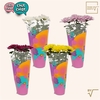 Chit Chat zonder sticker - Chrysanne® Zembla Next mix