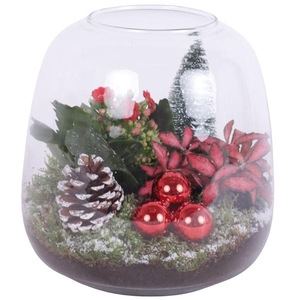 Christmas Arr. Indoor Glass Vase Terrarium Round Ø19cm 2PP