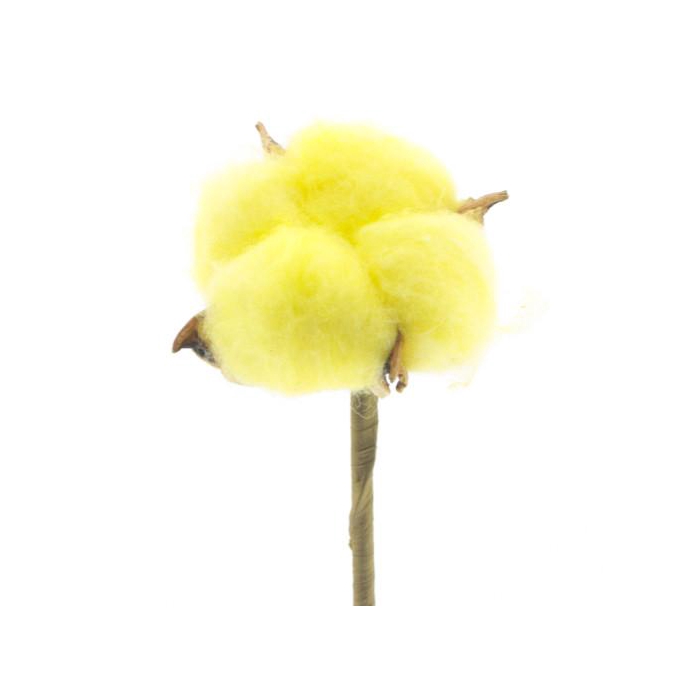 <h4>Bijsteker 50cm Katoen 5cm</h4>