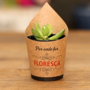 CACHEPOT KRAFT SUCULENTA 10 CM X 06 CM C/20 POR ONDE FOR FLORESCA