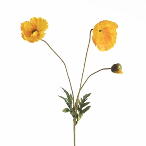 Af Papaver L75cm Yellow