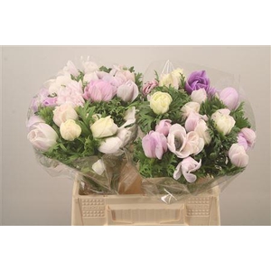 Anem Mistral Lavendel Super