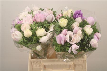 <h4>Anem Mistral Lavendel Super</h4>