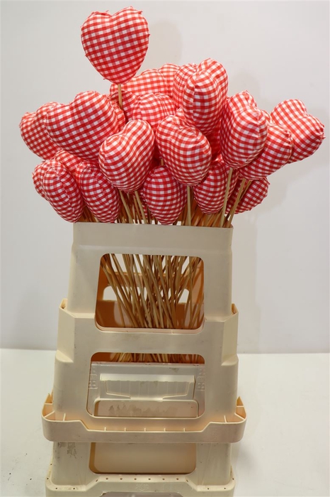 <h4>Hart Op Stok Ruiten Stof Rood Wit</h4>