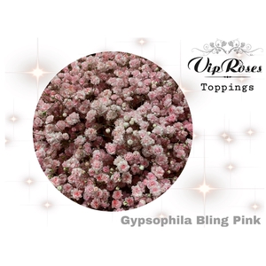 Gyps Pa Vip Bling Pink