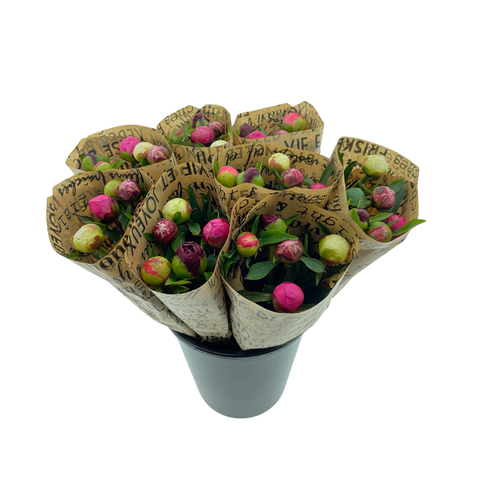 <h4>Mono Pioenen Mix in bos x5 in broodpapier</h4>