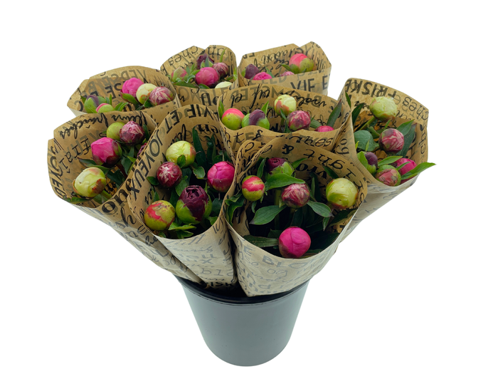 <h4>Mono Pioenen Mix in bos x5 in broodpapier</h4>