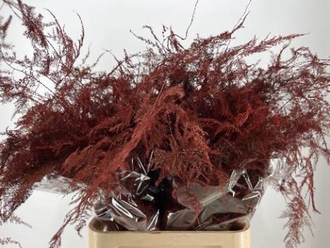 <h4>ASP OV KLB H%</h4>