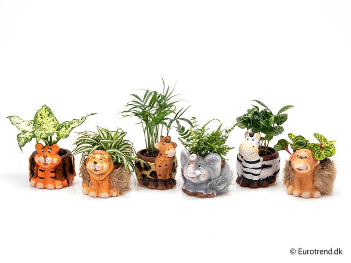 E 3111 with Green mix P6