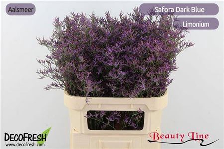 Lim Safora Dark Blue