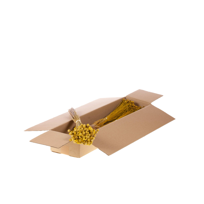 <h4>Botao Sb Yellow</h4>