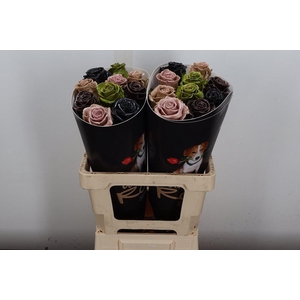 Wax-Rozen Wax Mix Herfst w120