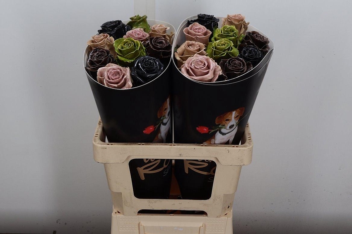 <h4>Wax-Rozen Wax Mix Herfst w120</h4>